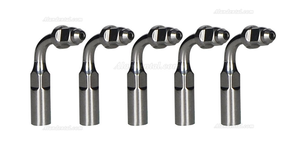 5Pcs Woodpecker E2 Dental Ultrasonic Scaler Endo File Holder Wrench Tip FIT EMS UDS